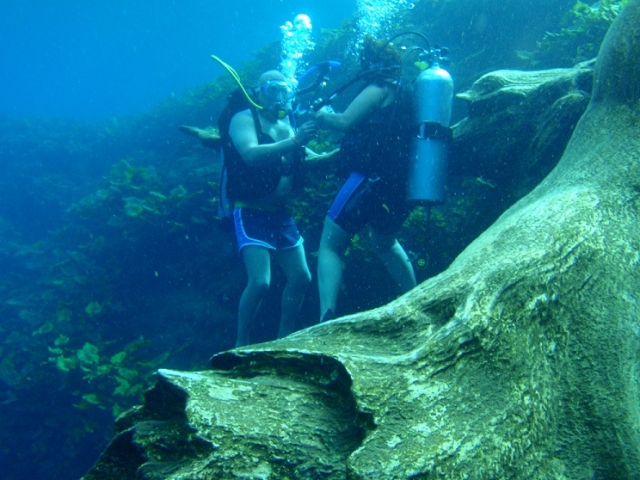 Immersioni con istruttore 
